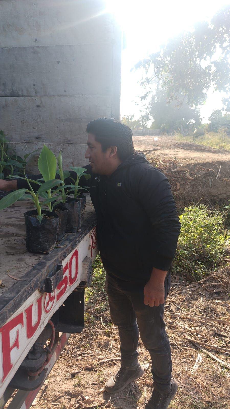 Productor recibiendo plantones de banano