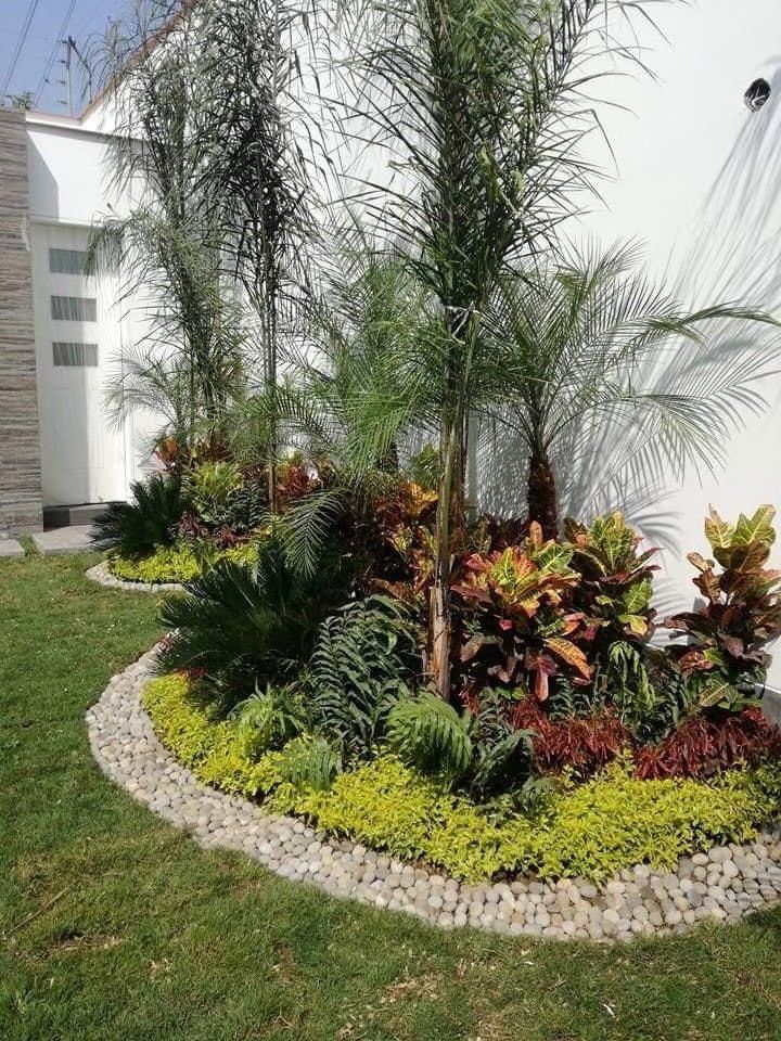 Isla de crotons y palmeras con borde de canto rodado