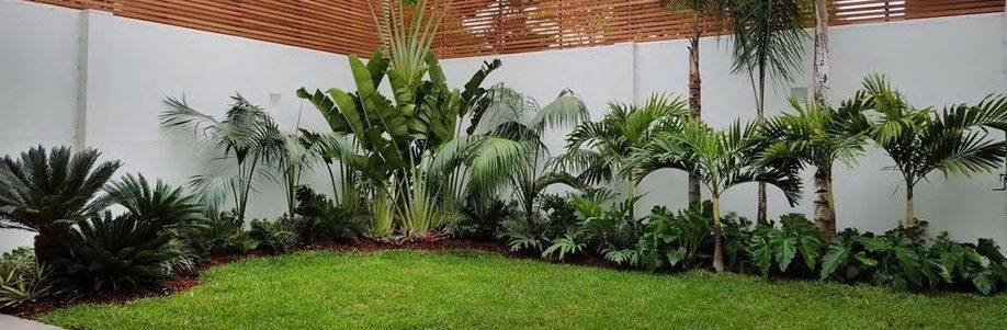 Jardín tropical con palmeras y grass en patio interior