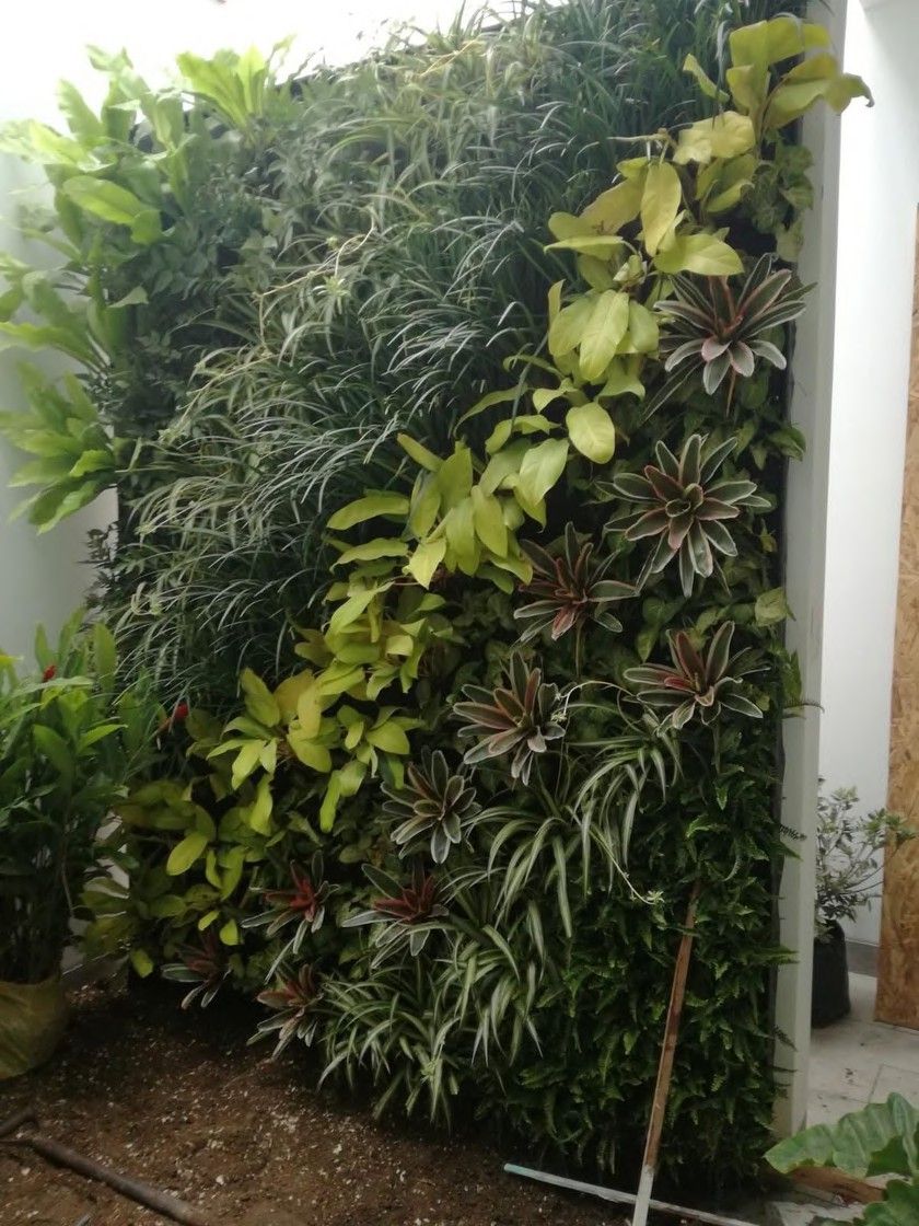 Muro verde o jardín vertical instalado en exterior